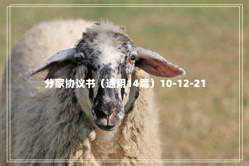 分家协议书（通用14篇）10-12-21