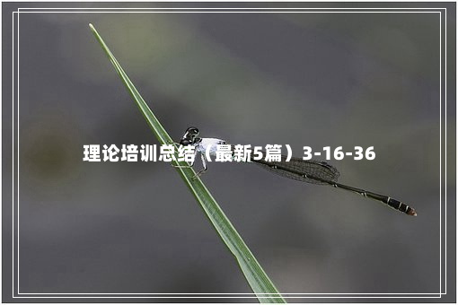 理论培训总结（最新5篇）3-16-36