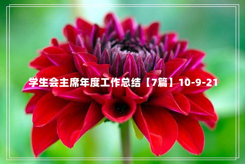 学生会主席年度工作总结【7篇】10-9-21