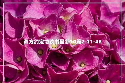 双方约定协议书最新10篇2-11-46