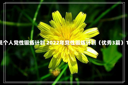 党校学员个人党性锻炼计划 2022年党性锻炼计划（优秀3篇）1-16-84