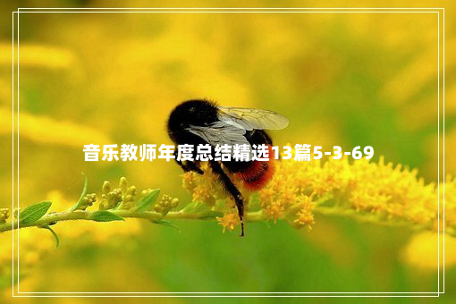 音乐教师年度总结精选13篇5-3-69