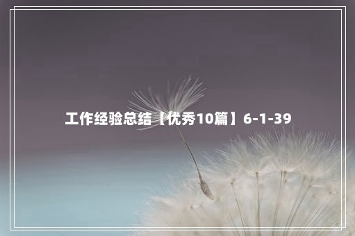 工作经验总结【优秀10篇】6-1-39