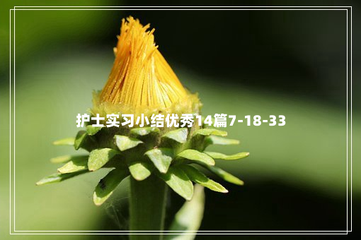 护士实习小结优秀14篇7-18-33