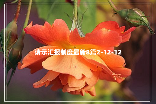 请示汇报制度最新8篇2-12-12