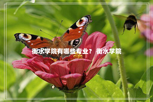 衡水学院有哪些专业？ 衡水学院