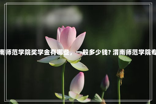 渭南师范学院奖学金有哪些，一般多少钱? 渭南师范学院专科