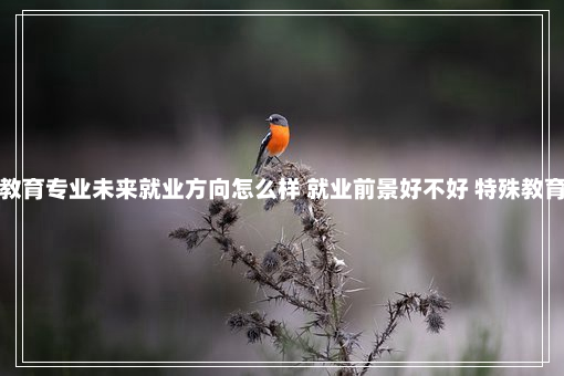 特殊教育专业未来就业方向怎么样 就业前景好不好 特殊教育专业