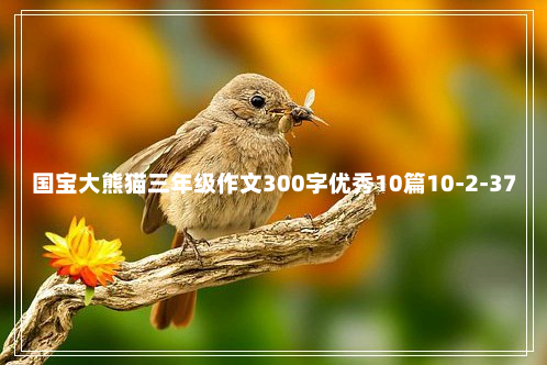 国宝大熊猫三年级作文300字优秀10篇10-2-37