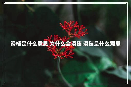 滑档是什么意思 为什么会滑档 滑档是什么意思