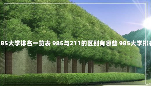 985大学排名一览表 985与211的区别有哪些 985大学排名