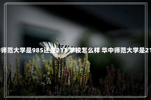 华中师范大学是985还是211 学校怎么样 华中师范大学是211吗