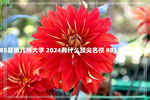 985是哪几所大学 2024有什么顶尖名校 985是哪几所大学