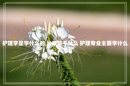 护理学是学什么的 出来能干什么 护理专业主要学什么