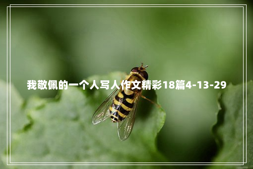 我敬佩的一个人写人作文精彩18篇4-13-29