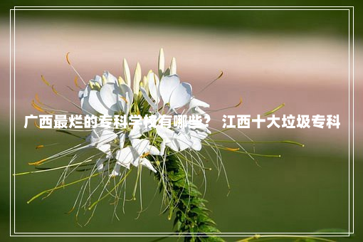 广西最烂的专科学校有哪些？ 江西十大垃圾专科