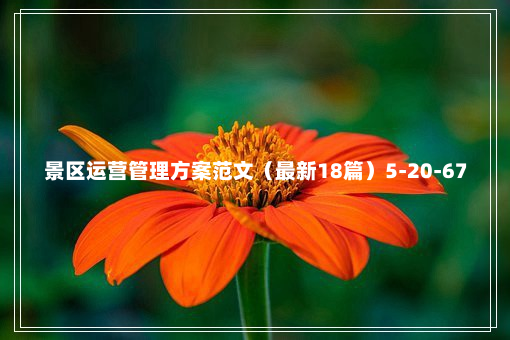 景区运营管理方案范文（最新18篇）5-20-67