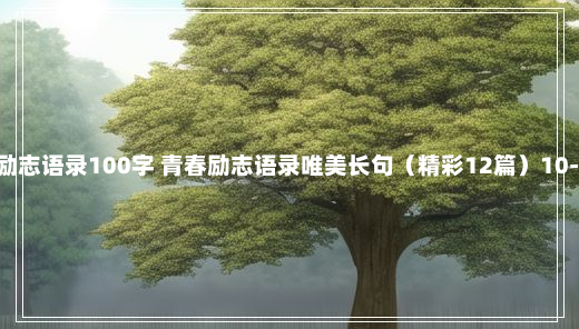 青春励志语录100字 青春励志语录唯美长句（精彩12篇）10-9-49