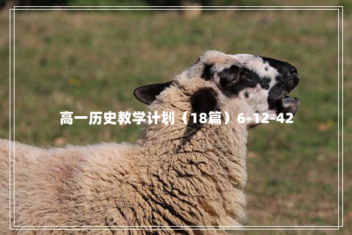 高一历史教学计划（18篇）6-12-42