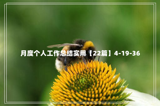 月度个人工作总结实用【22篇】4-19-36