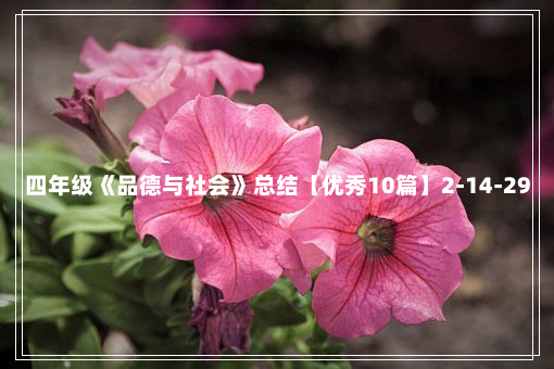 四年级《品德与社会》总结【优秀10篇】2-14-29