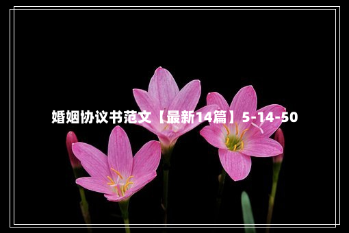 婚姻协议书范文【最新14篇】5-14-50