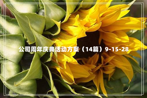 公司周年庆典活动方案（14篇）9-15-28