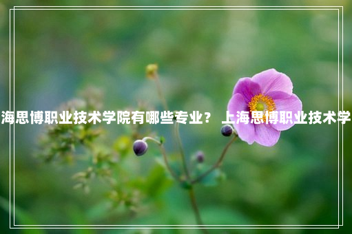 上海思博职业技术学院有哪些专业？ 上海思博职业技术学院