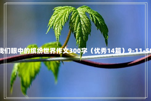 我们眼中的缤纷世界作文300字（优秀14篇）9-11-50