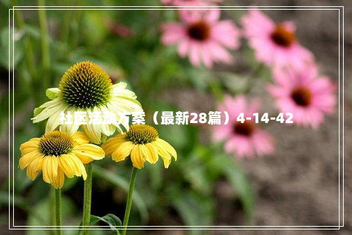 社区活动方案（最新28篇）4-14-42