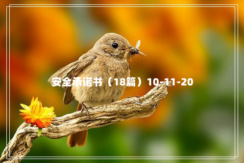 安全承诺书（18篇）10-11-20