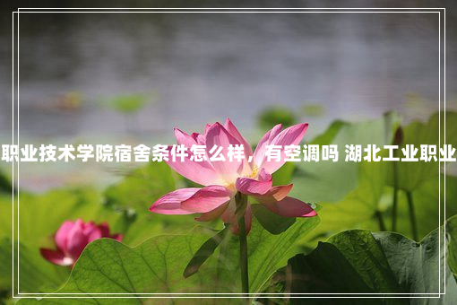 湖北工业职业技术学院宿舍条件怎么样，有空调吗 湖北工业职业技术学院