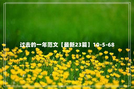 过去的一年范文【最新23篇】10-5-68