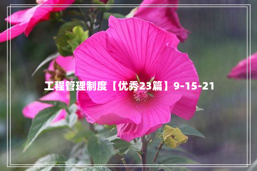 工程管理制度【优秀23篇】9-15-21