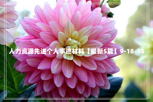 人力资源先进个人事迹材料【最新5篇】9-18-15