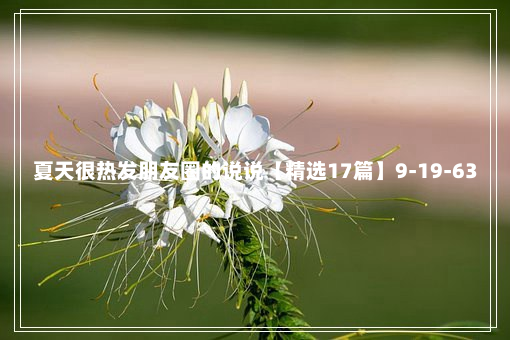 夏天很热发朋友圈的说说【精选17篇】9-19-63