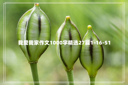 我爱我家作文1000字精选27篇1-16-51