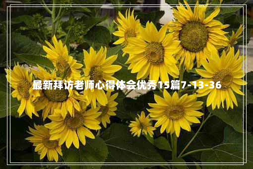 最新拜访老师心得体会优秀15篇7-13-36