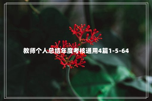 教师个人总结年度考核通用4篇1-5-64