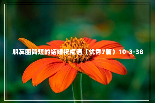 朋友圈简短的结婚祝福语（优秀7篇）10-3-38