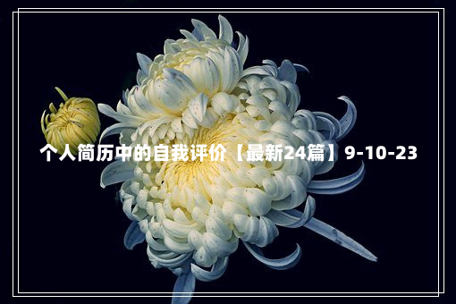 个人简历中的自我评价【最新24篇】9-10-23