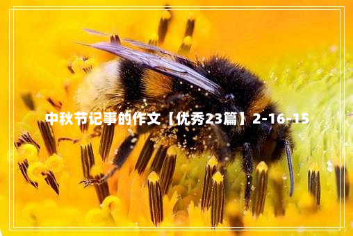 中秋节记事的作文【优秀23篇】2-16-15