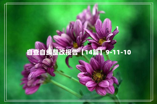 自查自纠整改报告【14篇】9-11-10