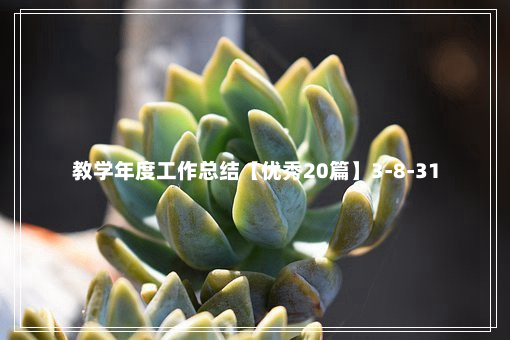 教学年度工作总结【优秀20篇】3-8-31