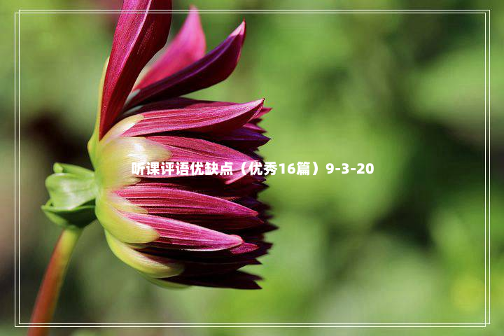 听课评语优缺点（优秀16篇）9-3-20