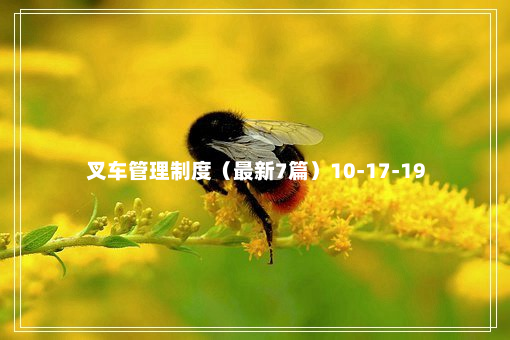 叉车管理制度（最新7篇）10-17-19