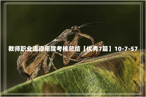 教师职业道德年度考核总结【优秀7篇】10-7-57