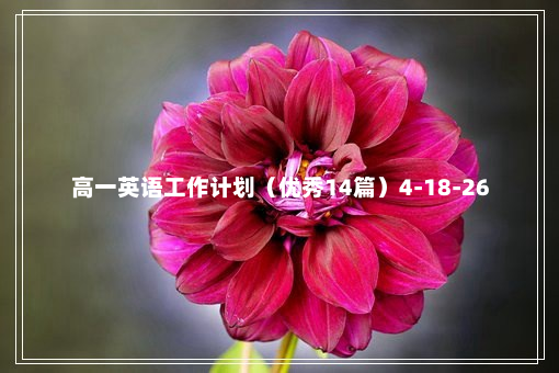 高一英语工作计划（优秀14篇）4-18-26