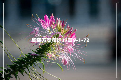 调研方案精选17篇9-1-72