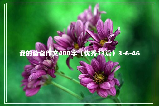 我的爸爸作文400字（优秀13篇）3-6-46